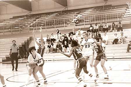 1981 Basketball